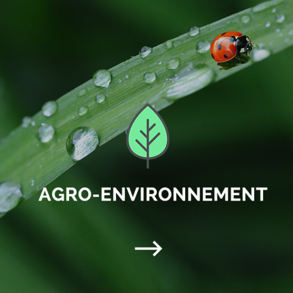 agro environnement